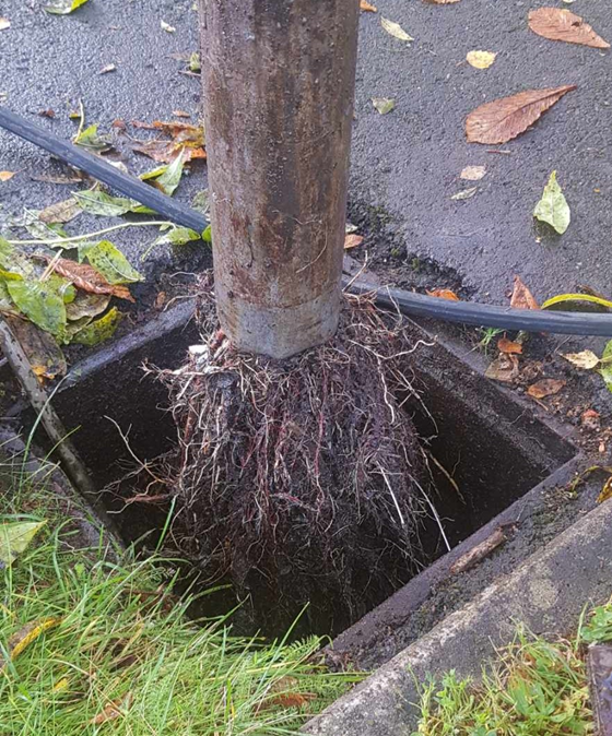 Under ytan- Vad våra filmbussar hittar i avloppssystemet!